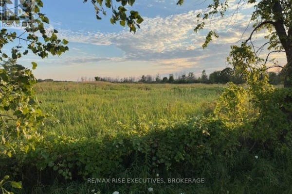 3878 County Rd 8, Greater Napanee, ON, photo 3