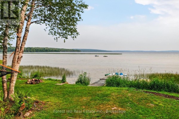 Backyard view of the house with a garden area and a shed. - 388 Crescent Road, Strong