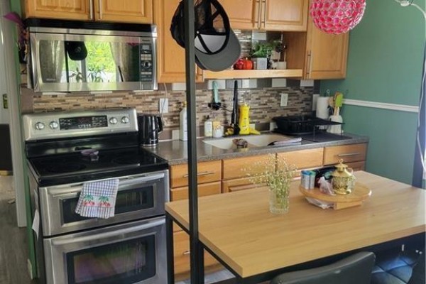 389 Ontario, Greater Sudbury, ON P3E4K3 Photo 4