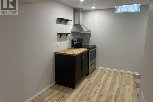 Basement - 39 Distin Drive, Hamilton Photo 3