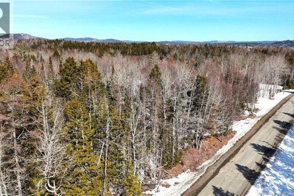 Living room - 39 L Harkness Road, Chamcook, NB E5B3E7 Photo 5