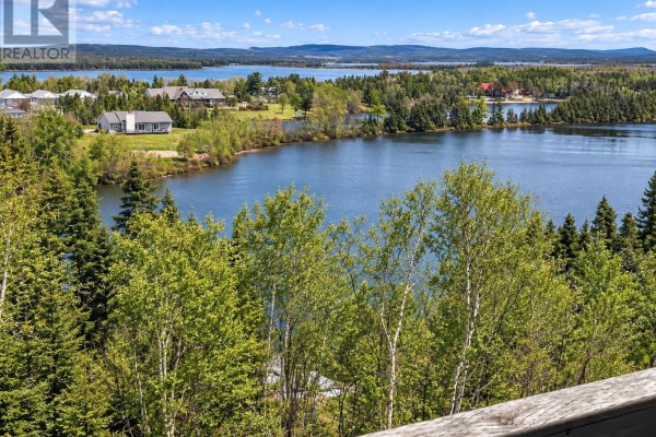 View of a blue lake and scattered houses from a wooded area with green trees. - 39 Main Road, Town Of Terra Nova