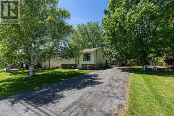Basement room with grooming table, dog crates, fireplace, and washer and dryer. - 39 Riverview Drive, Greater Napanee