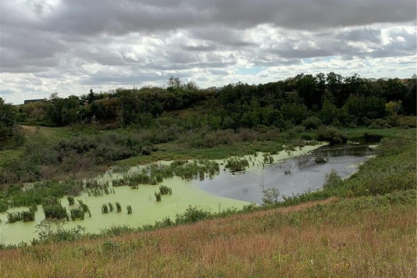 39 Wakonda Drive, Hoodoo Rm No  401, SK S0K4P0 Photo 3