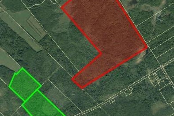 39.2 Hec Pellerin Road, Sainte Marie De Kent, NB E4S1T7 Photo 2