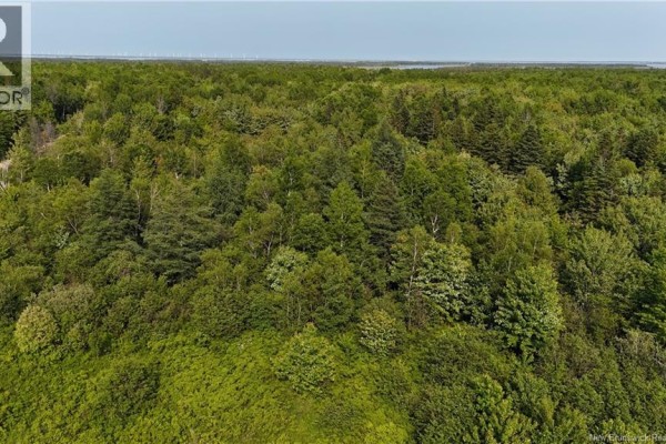 39.27 Acres Rue Morais, Bas Caraquet, NB, photo 3
