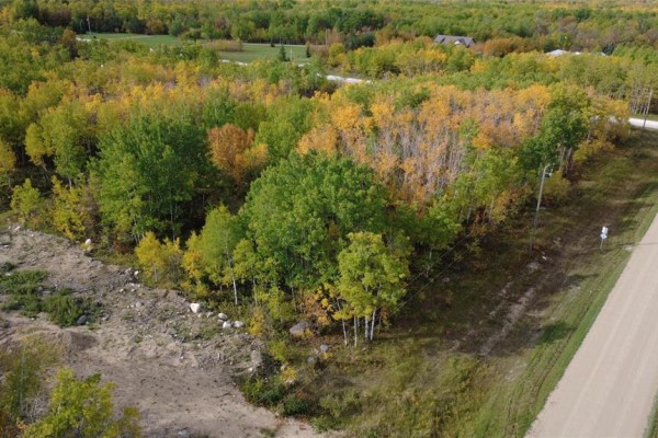View of trees with yellow and green leaves next to a dirt path and road. - 39016 45n Road, Ste Anne Rm