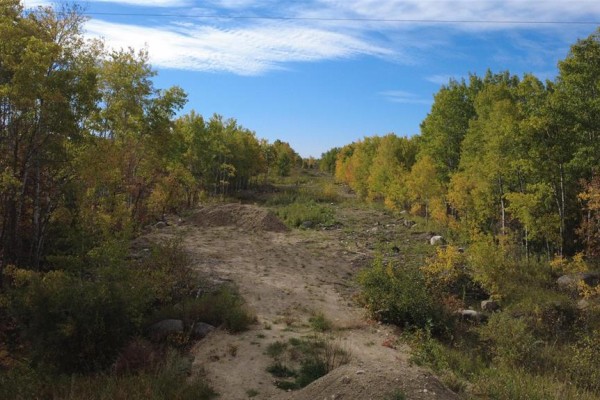 A cleared dirt path slopes uphill between rows of trees with autumn foliage. - 39016 45n Road, Ste Anne Rm