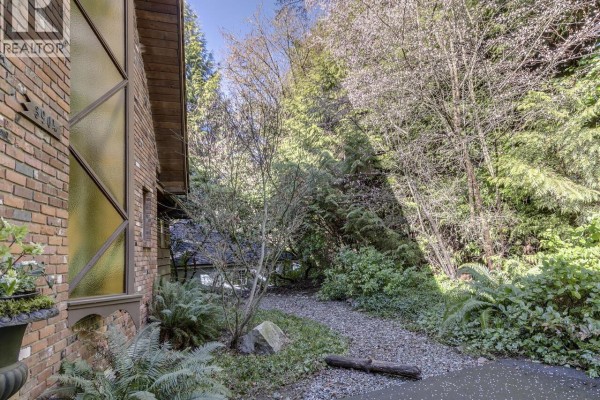 Pathway leading to the house, surrounded by lush vegetation - 3904 Westridge Avenue, West Vancouver