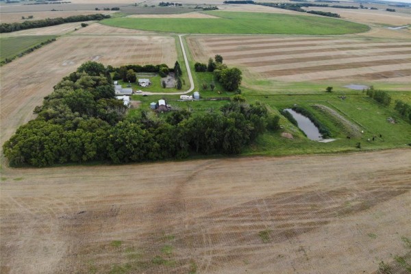 39062 25 Road W, Dufferin, MB R0G0J0 Photo 2