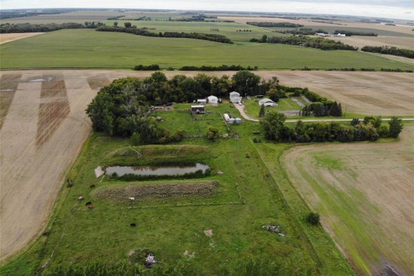 39062 25 Road W, Dufferin, MB R0G0J0 Photo 3