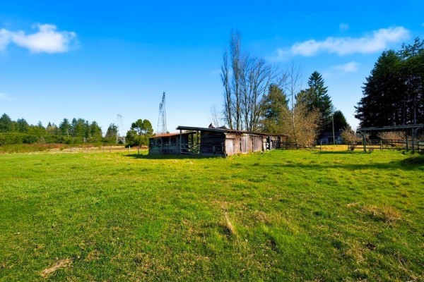 3907 212 Street, Langley, BC V3A9L1 Photo 5