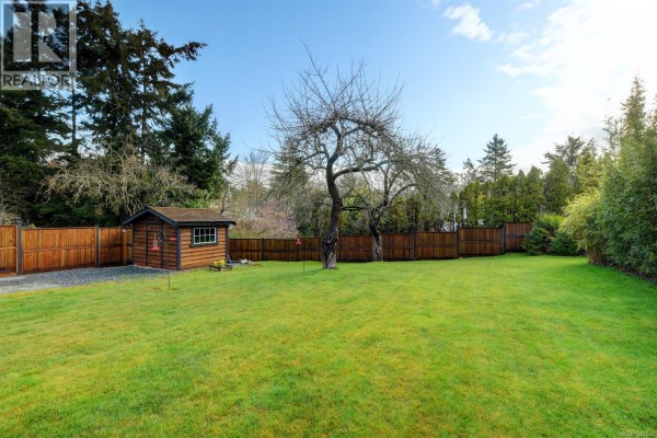 Kitchen - 3919 Quadra St, Saanich, BC V8X1J3 Photo 3