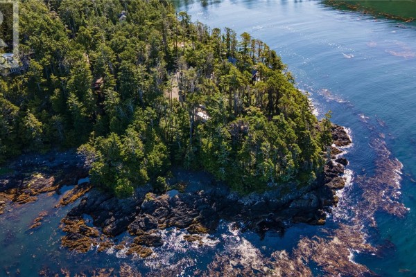 392 Reef Point Rd, Ucluelet, BC, photo 2
