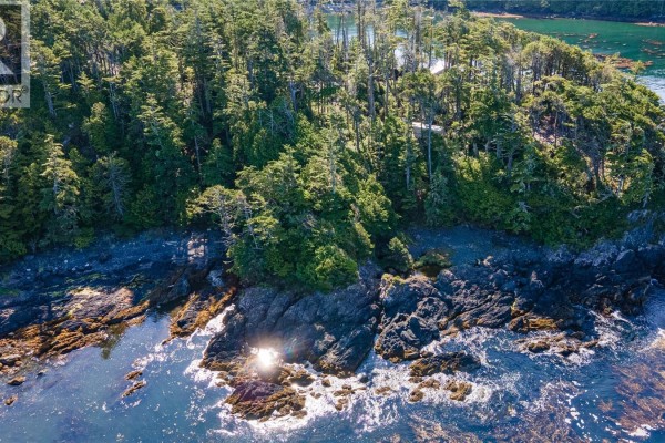 392 Reef Point Rd, Ucluelet, BC, photo 3