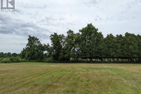Expansive green lawn in front of a dense line of tall green trees under a cloudy sky. - 392 Second Street, Strathroy Caradoc