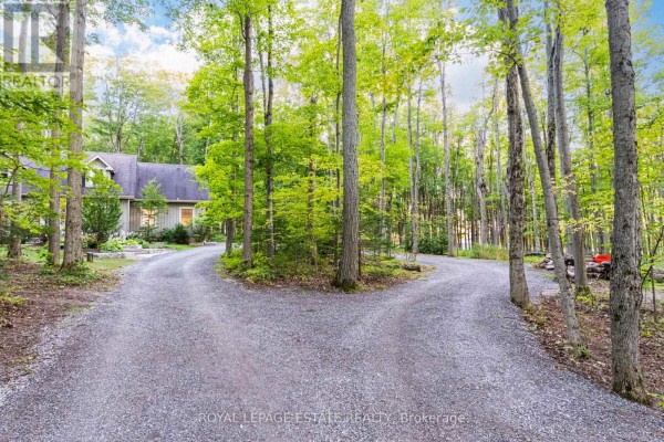 Kitchen - 392 Telecom Road, Kawartha Lakes, ON L0A1K0 Photo 5