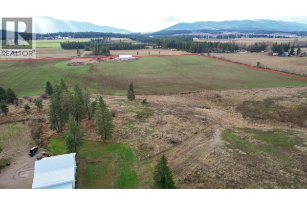Kitchen - 3922 Hullcar Road, Armstrong, BC V4Y0M7 Photo 4