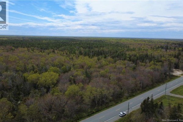 393 Route 320, Anse Bleue, NB E8N2B9 Photo 2