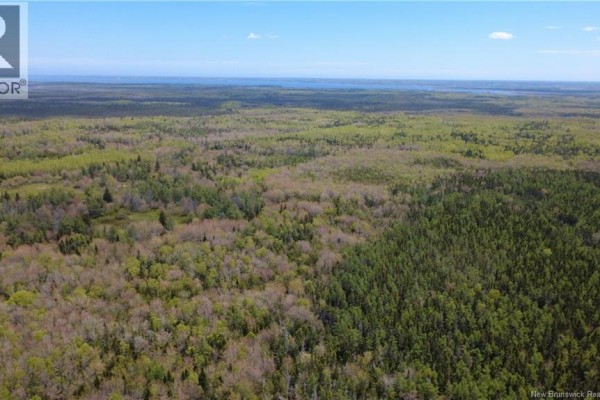 393 Route 320, Anse Bleue, NB E8N2B9 Photo 4