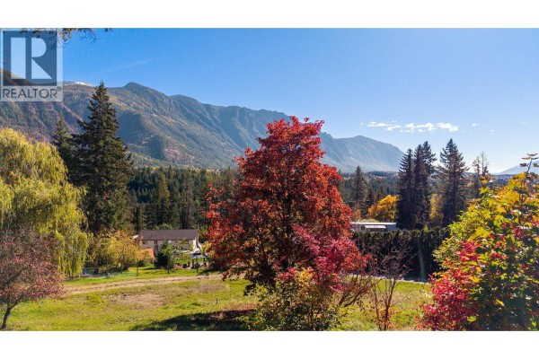 3930 3 Highway, Erickson, BC V0B1K0 Photo 4