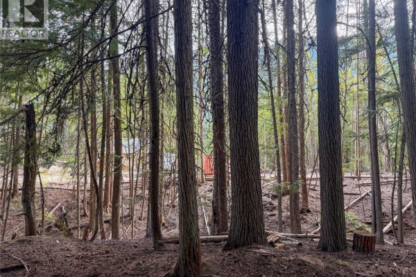 3945 Saunders Road, Passmore, BC, photo 3