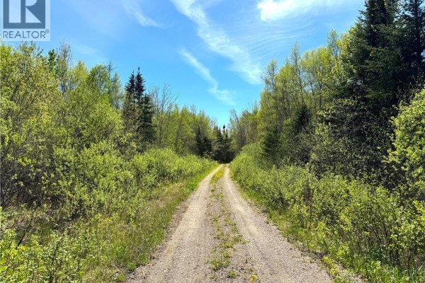 395 Route 630, Andersonville, NB E5A1C8 Photo 4