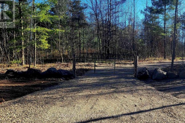 395421 Concession 2 Road, Chatsworth, ON N0H2V0 Photo 4