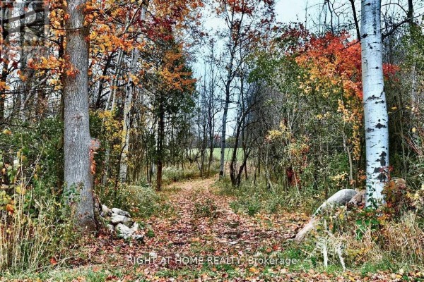 397641 10 Concession, Meaford, ON N4K5N8 Photo 5