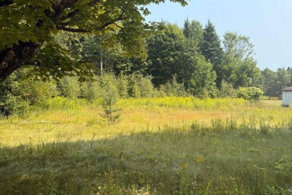 3995 Boulter Road, Carlow/mayo, ON, photo 3