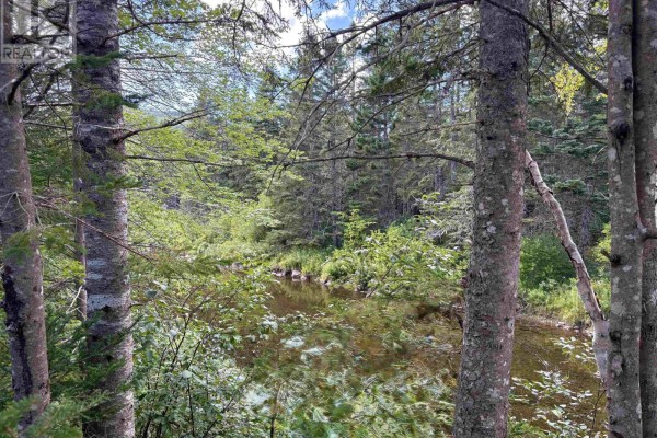 3999 Highway105, Glendale, NS B0E3L0 Photo 4
