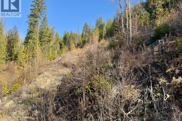 3b Highway Lot# 291, Fruitvale, BC V0G1L0 Photo 2
