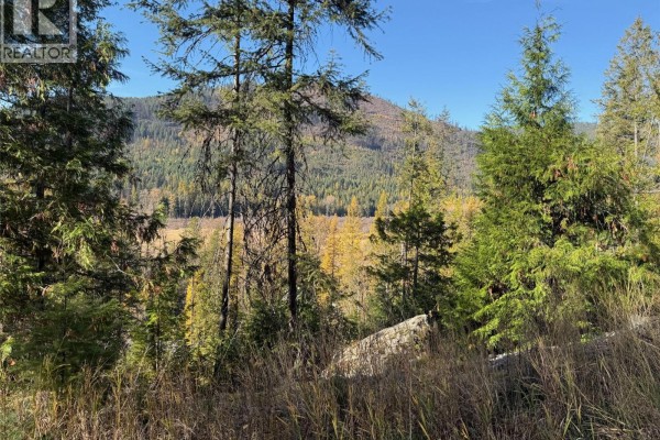 3b Highway Lot# 291, Fruitvale, BC V0G1L0 Photo 3