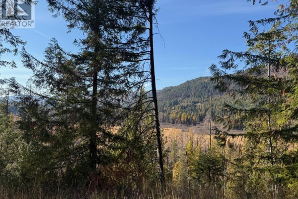 3b Highway Lot# 291, Fruitvale, BC V0G1L0 Photo 4