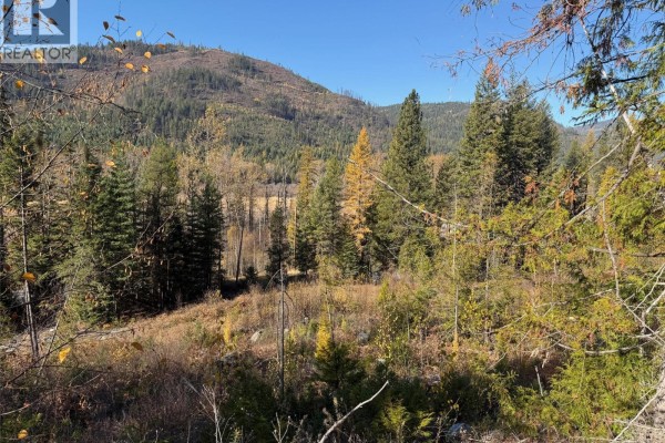 3b Highway Lot# 291, Fruitvale, BC V0G1L0 Photo 5