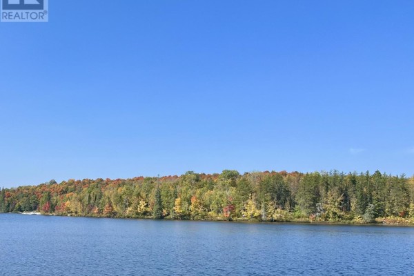 3b Jack's Lake Road, Parry Sound Remote Area, ON, photo 3