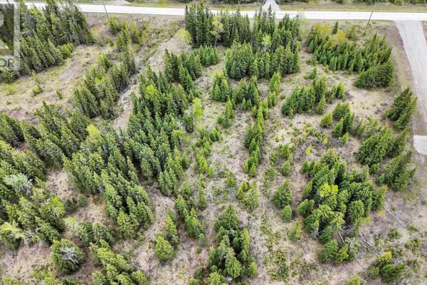 4, 34364 Range Road 42, Rural Mountain View County, AB T0M1X0 Photo 5