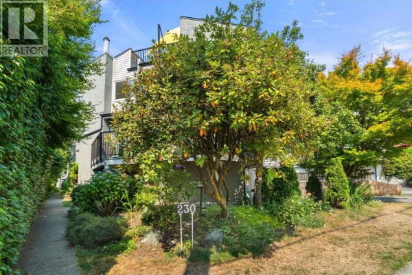 Front exterior of the townhouse with a mature tree, landscaping, and the address number 230 visible. - 4 230 W 16th Street, North Vancouver