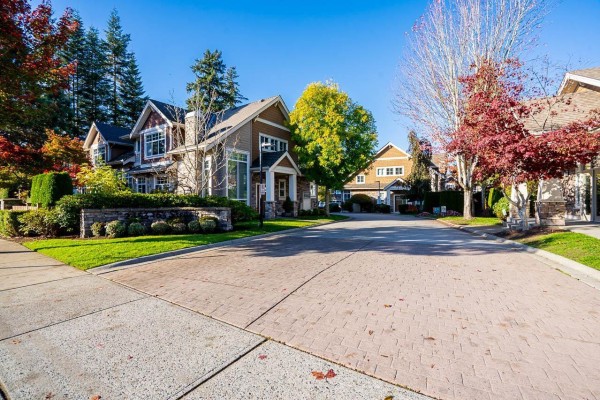 4 2453 163 Street, Surrey, BC V3Z8N6 Photo 3