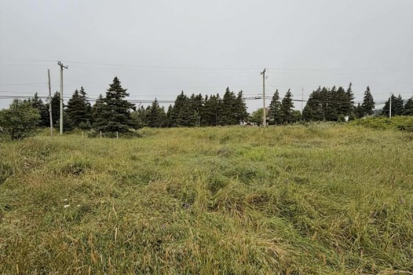 4-6 Lahey's Lane, Wabana, NL, photo 2