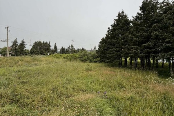 4-6 Lahey's Lane, Wabana, NL, photo 3