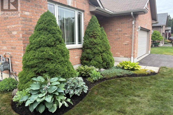 4 Algonquin Avenue, Brighton, ON, photo 3
