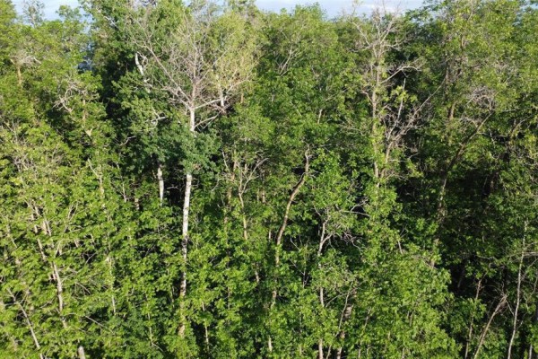 4 Anderson Road, Hnausa, MB R0C2R0 Photo 3