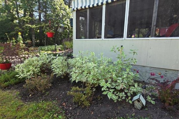 4 Ash Street, Onanole, MB R0J1N0 Photo 4