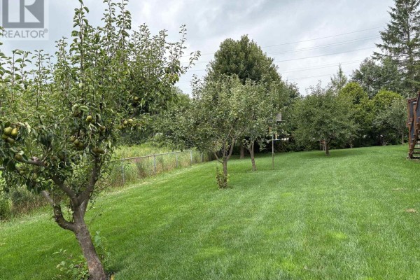Eating area - 4 Blake Street, East Gwillimbury, ON L0E1R0 Photo 4