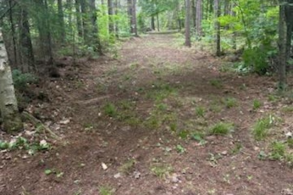 4 Harmonious Drive, Kawartha Lakes, ON, photo 2