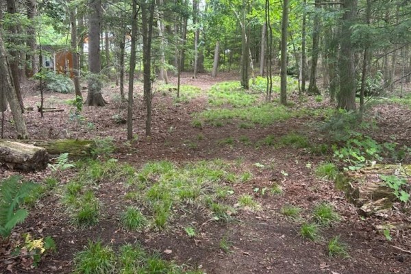 4 Harmonious Drive, Kawartha Lakes, ON K0M1N0 Photo 5