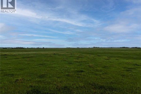 Vast green farmland stretches to the horizon under a bright blue sky with wispy clouds. - 4 Quarters - Melville, Grayson Rm No  184
