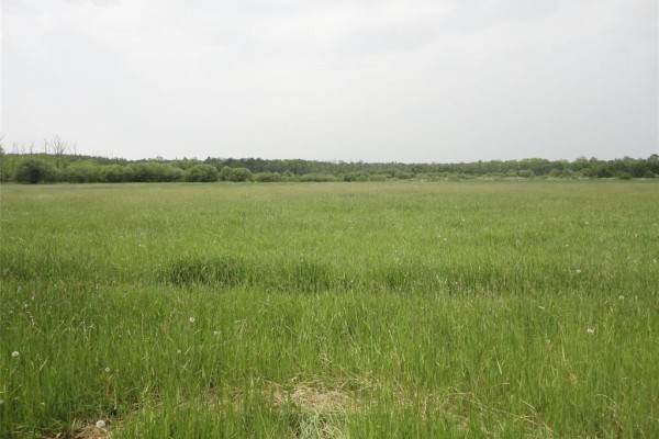 4 Railway Street, Sandy Hook, MB R0C2W0 Photo 4