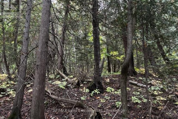 4 Shore Road, Saugeen Shores, ON, photo 3